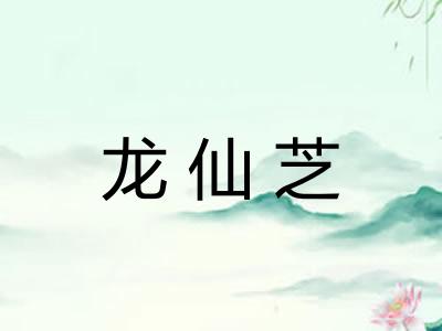 龙仙芝