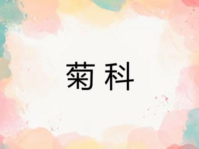 菊科