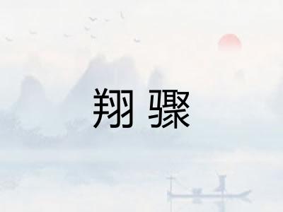 翔骤