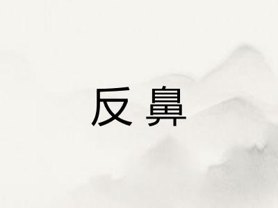 反鼻