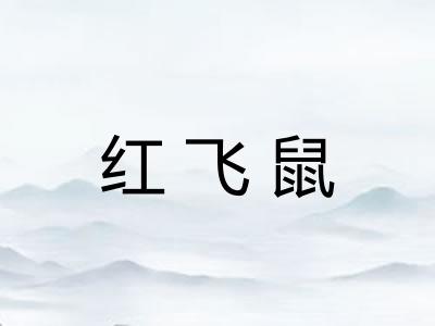 红飞鼠