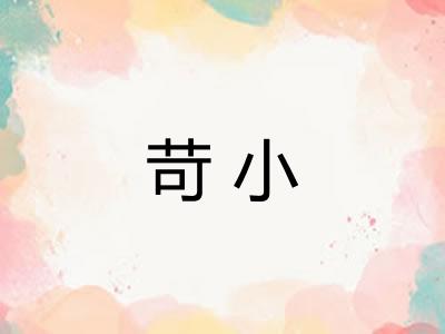 苛小