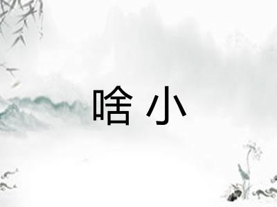 啥小