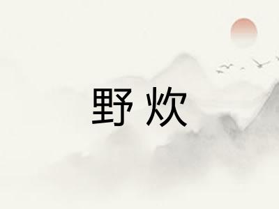 野炊