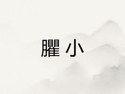 臞小