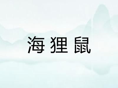 海狸鼠