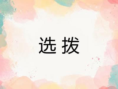 选拨