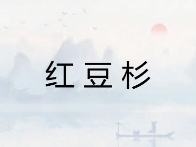 红豆杉