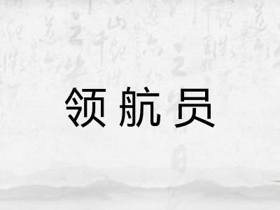 领航员