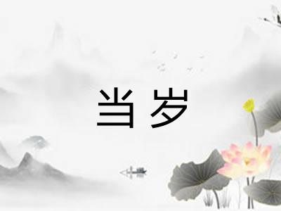 当岁