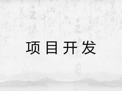 项目开发