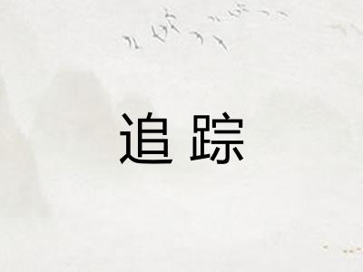 追踪