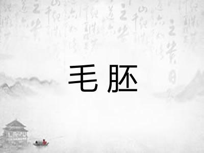 毛胚