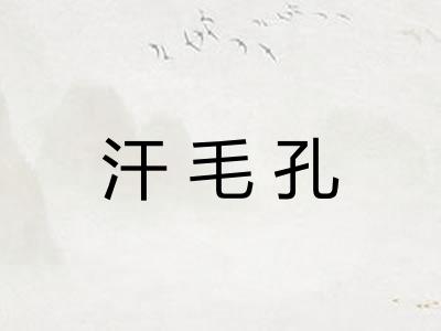 汗毛孔