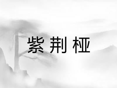 紫荆桠