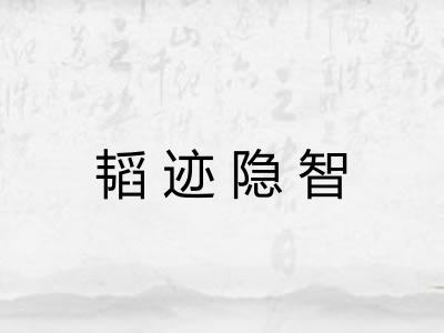 韬迹隐智