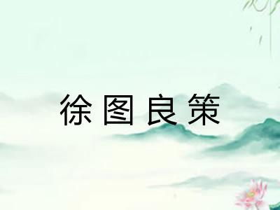 徐图良策