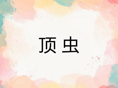 顶虫