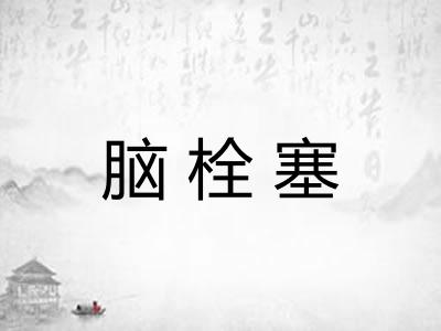 脑栓塞 脑栓塞