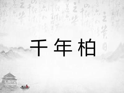 千年柏