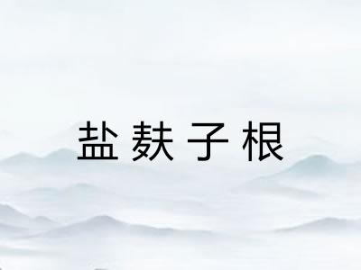 盐麸子根