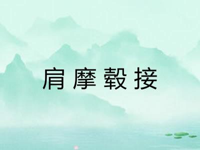 肩摩毂接