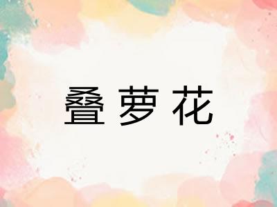 叠萝花 叠萝花