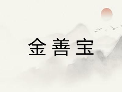 金善宝