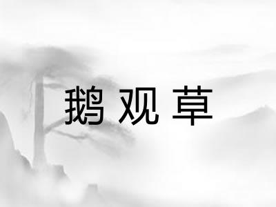 鹅观草