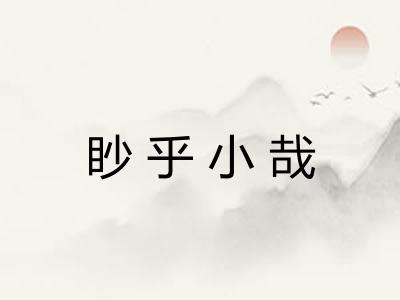 眇乎小哉