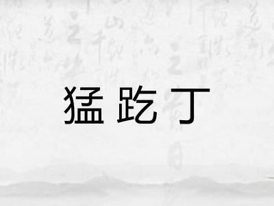 猛趷丁