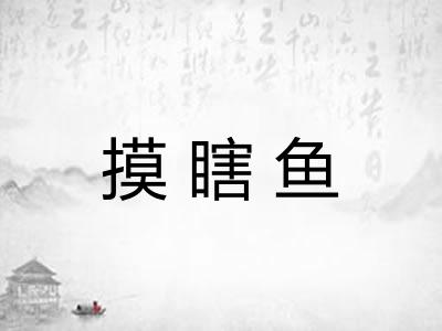 摸瞎鱼