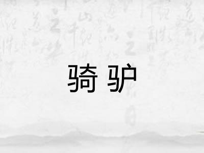 骑驴
