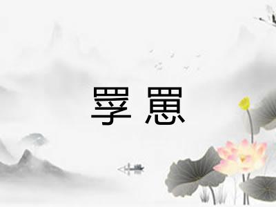 罦罳