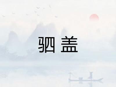 驷盖