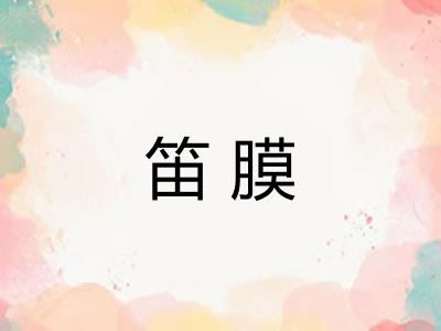 笛膜