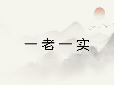 一老一实