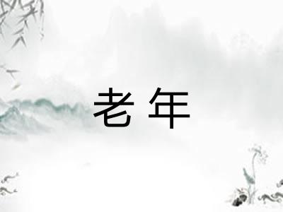 老年