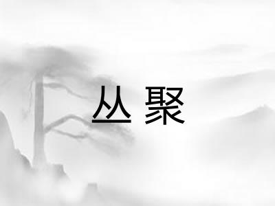 丛聚