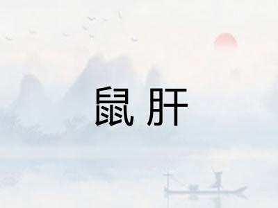 鼠肝