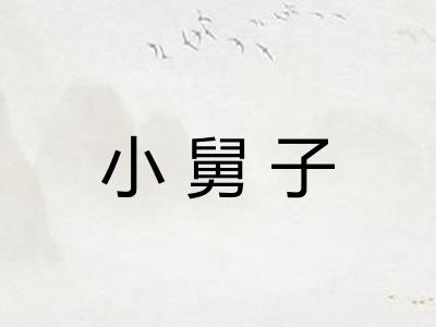 小舅子