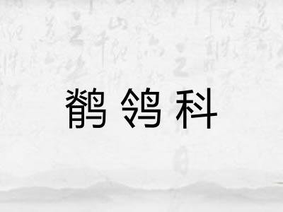 鹡鸰科