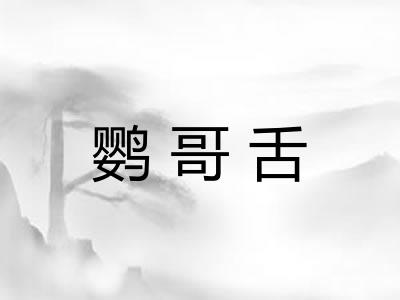 鹦哥舌