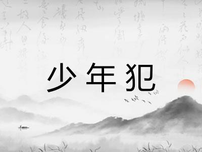 少年犯