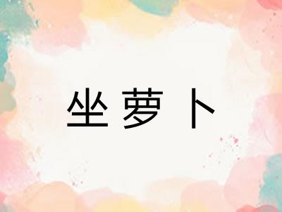 坐萝卜