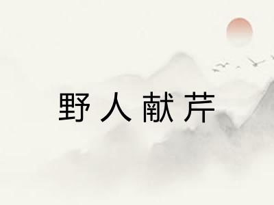 野人献芹