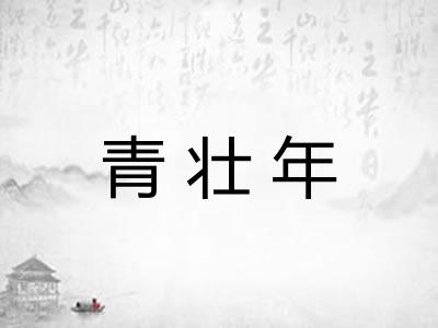 青壮年