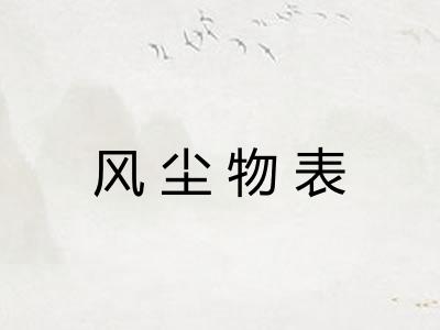 风尘物表