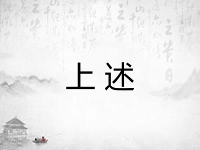 上述