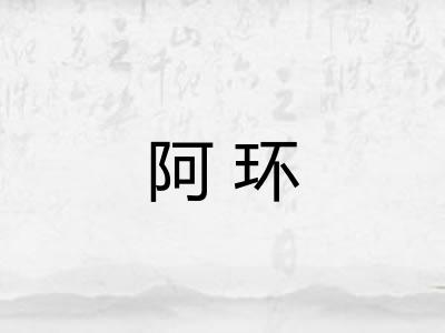 阿环